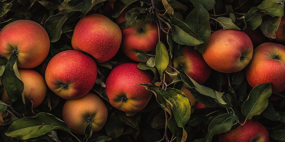 Apple Trees That Thrive: Climate and Soil Compatibility - Grow Organic