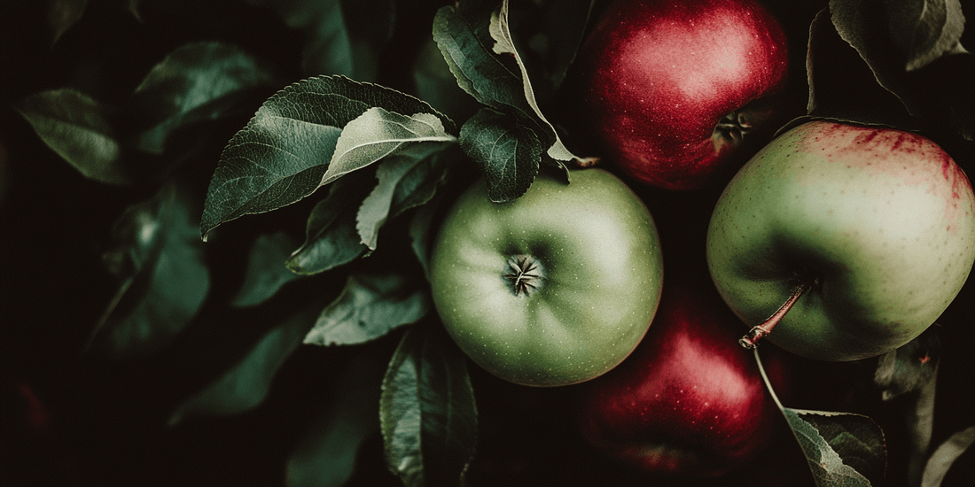 Planting Apple Seeds: Step-by-Step Guide for Home Gardeners - Grow Organic