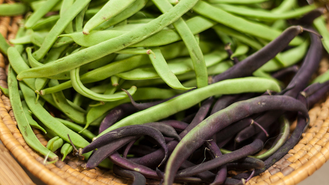 Green and purple beans in basket.