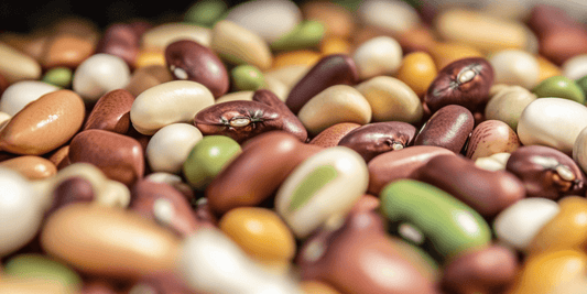 Urban Gardening with Beans: Tips for Small Spaces - Grow Organic