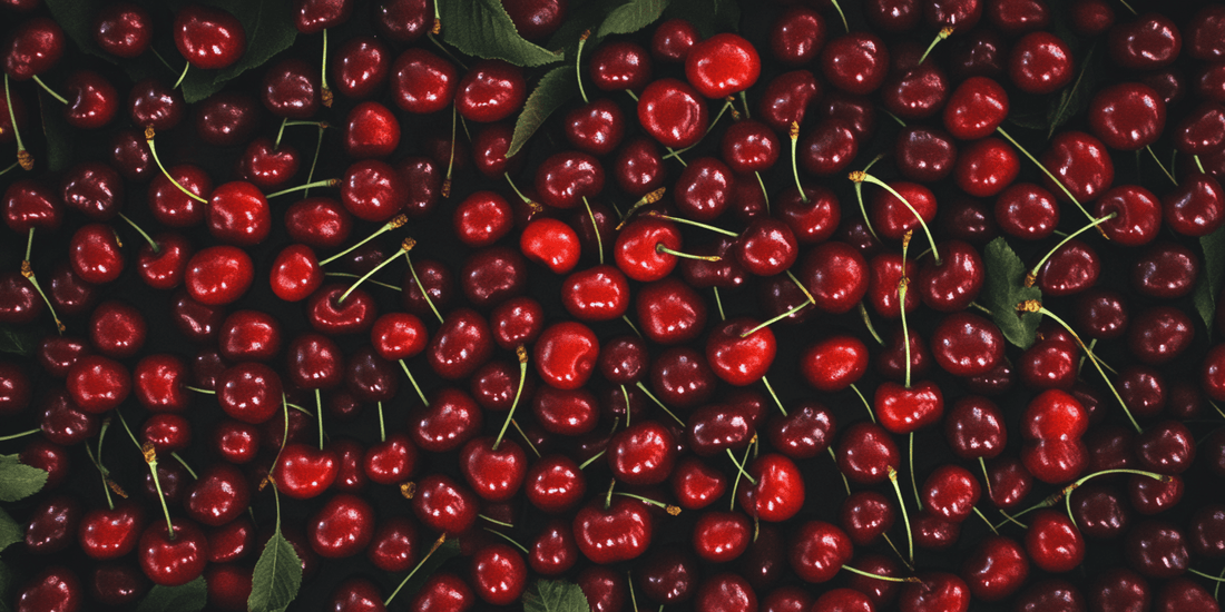 Growing Cherries from Seed: Tips for Success - Grow Organic