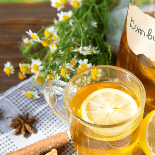 How to Make Your Own Kombucha At Home - Grow Organic