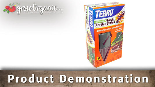 Kill Ants with TERRO Outdoor Liquid Ant Bait Stakes - Grow Organic