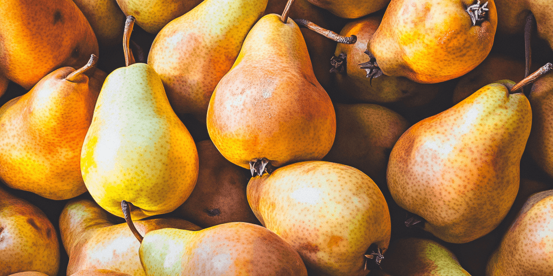 Harvesting Pears: When and How to Pick for Perfect Ripeness - Grow Organic