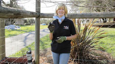 Solving Water Pressure & Water Flow Issues for Gardeners - Grow Organic