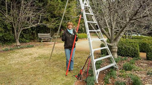How to Choose the Right Pruning Tool