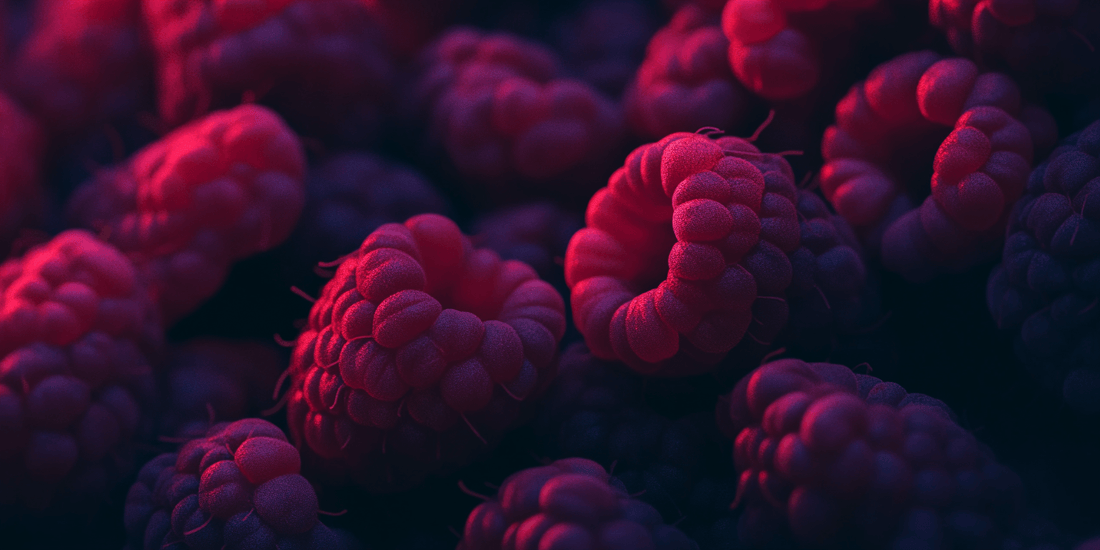 Raspberry Gardening Made Easy: Planting, Pruning, and Harvesting Tips - Grow Organic