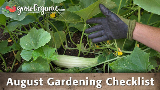 August Gardening Checklist - 20 Tips to Maintain Your Organic Garden - Grow Organic