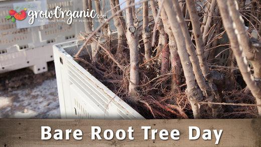Bare Root Tree Day - Grow Organic