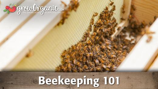 Beekeeping for Beginners: How to Set Up a Hive - Grow Organic