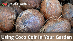 Using Coco Coir As A Soil Amendment In Your Organic Garden