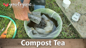 How to Brew Compost Tea