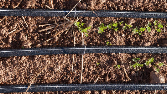 Drip Irrigation Systems (Instead of Sprinklers) for Water Conservation - Grow Organic