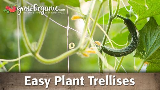 Plant Support Options - Grow Organic