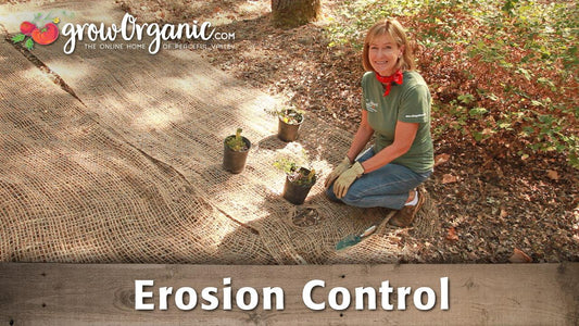 How to Control Erosion - Grow Organic
