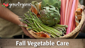 Fall Perennial Vegetable Care