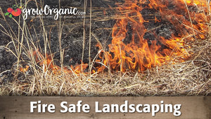Fire Safe Landscaping
