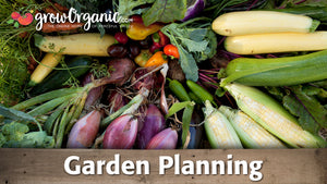 Garden Planning & Crop Rotation