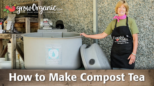 making compost tea video