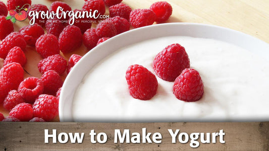 How to Make Yogurt - Grow Organic