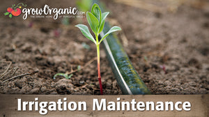 Irrigation Maintenance