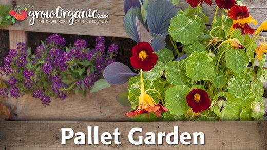 DIY Pallet Garden - Grow Organic