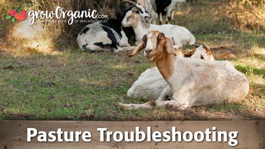 Pasture Troubleshooting - Grow Organic