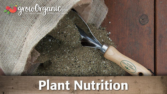 Plant Nutrition