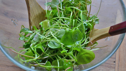 Basic French Vinaigrette Salad Dressing with Variations - Grow Organic