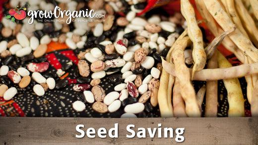 Seed Saving - Grow Organic
