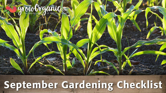 September Gardening Checklist - 25 Organic Gardening Tips to Get You Through September - Grow Organic