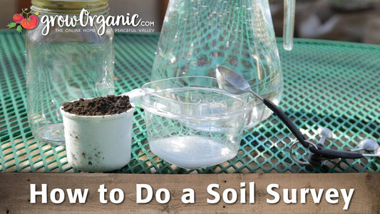How to Do a Soil Survey - Grow Organic