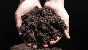 Protecting Your Topsoil from Erosion