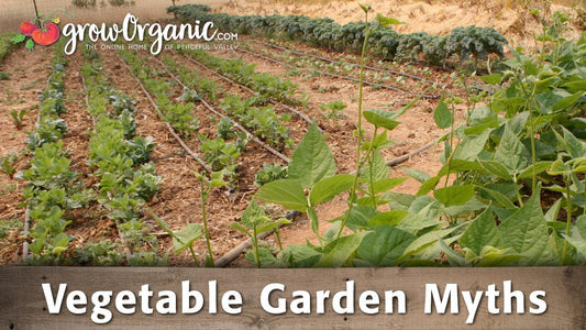 Vegetable Garden Myths - Grow Organic