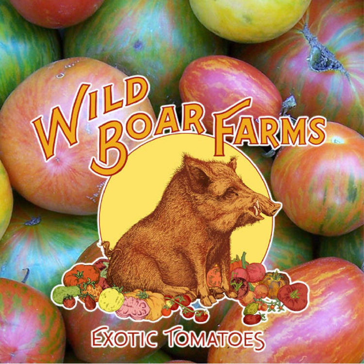 Wild Boar Farms Exotic Tomatoes - Grow Organic