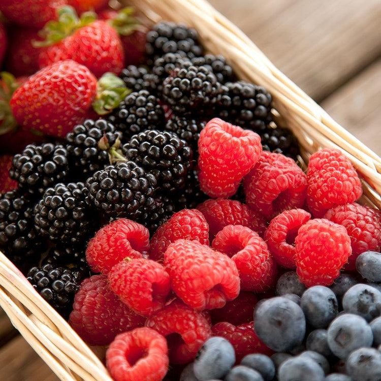 All Berry Plants - Grow Organic