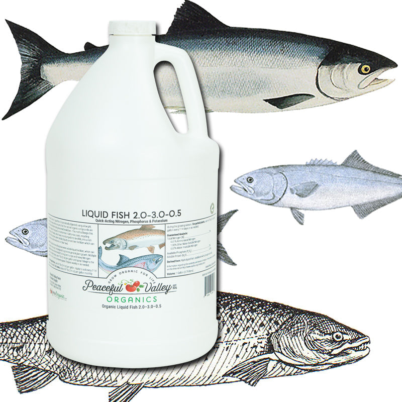 Fish Meal & Liquid Fish Fertilizer for Plants