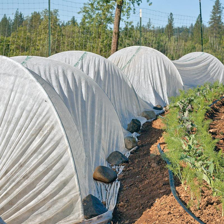 Frost and Sun Protection - Grow Organic