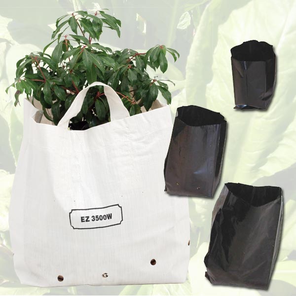 Plastic Nursery Grow Bags (1 gal) - Grow Organic