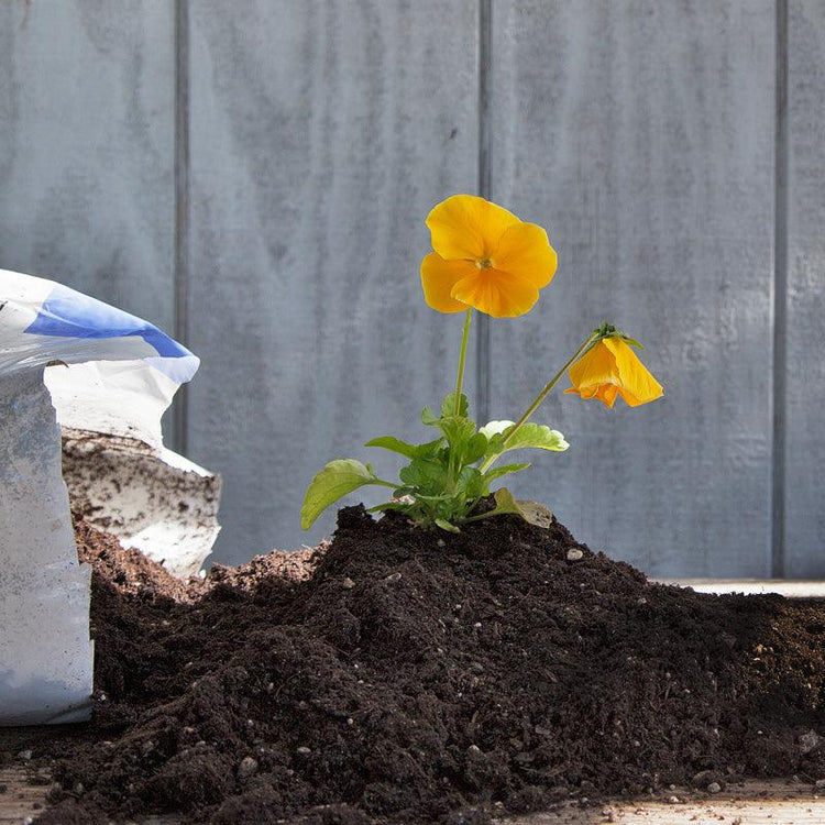 Growing Mediums - Grow Organic