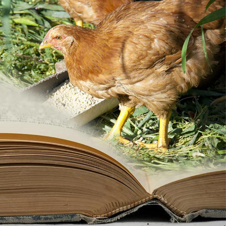 Home & Books - Grow Organic
