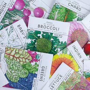 Organic, Non-GMO and Heirloom Seeds in Packs & Bulk - Grow Organic