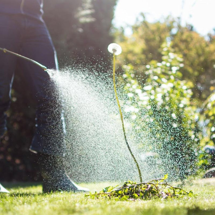 All Weed & Pest Control - Grow Organic