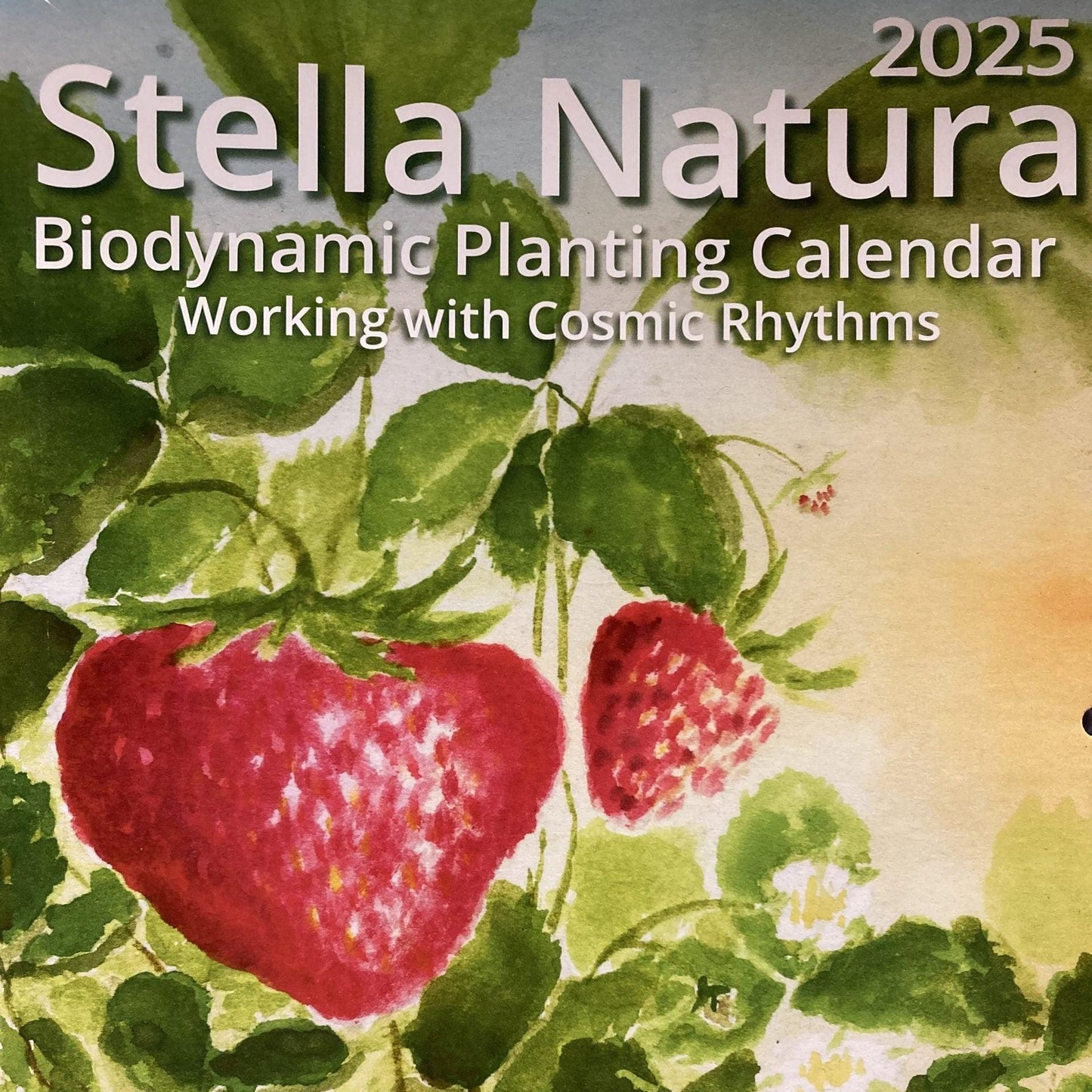 Stella Natura 2025 Biodynamic Planting Calendar Grow Organic