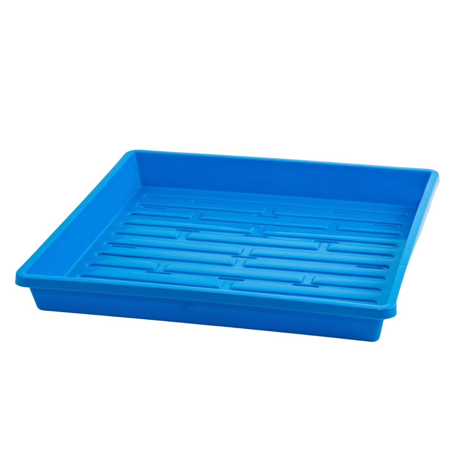 1010 Shallow Seed Trays 10 Trays / Blue / With Holes Bootstrap Farmer