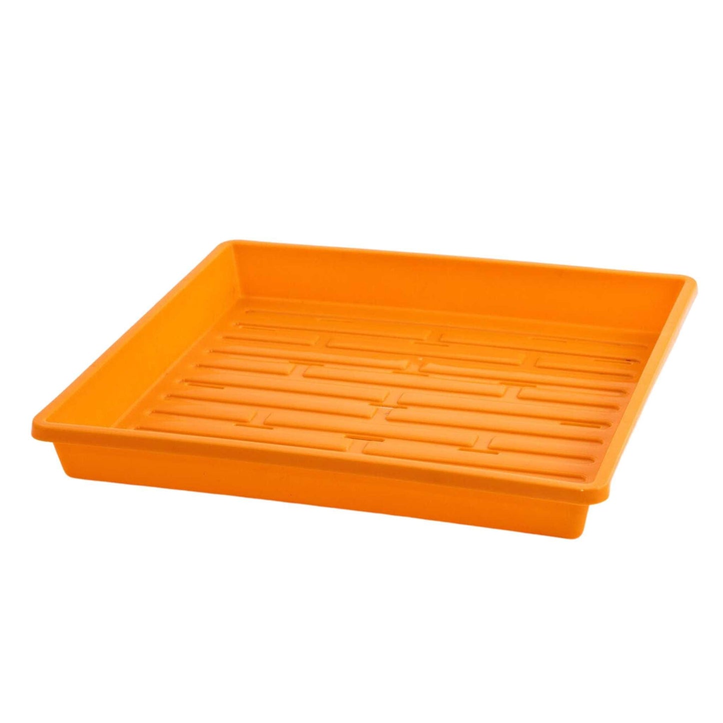 1010 Shallow Seed Trays 10 Trays / Orange / With Holes Bootstrap Farmer