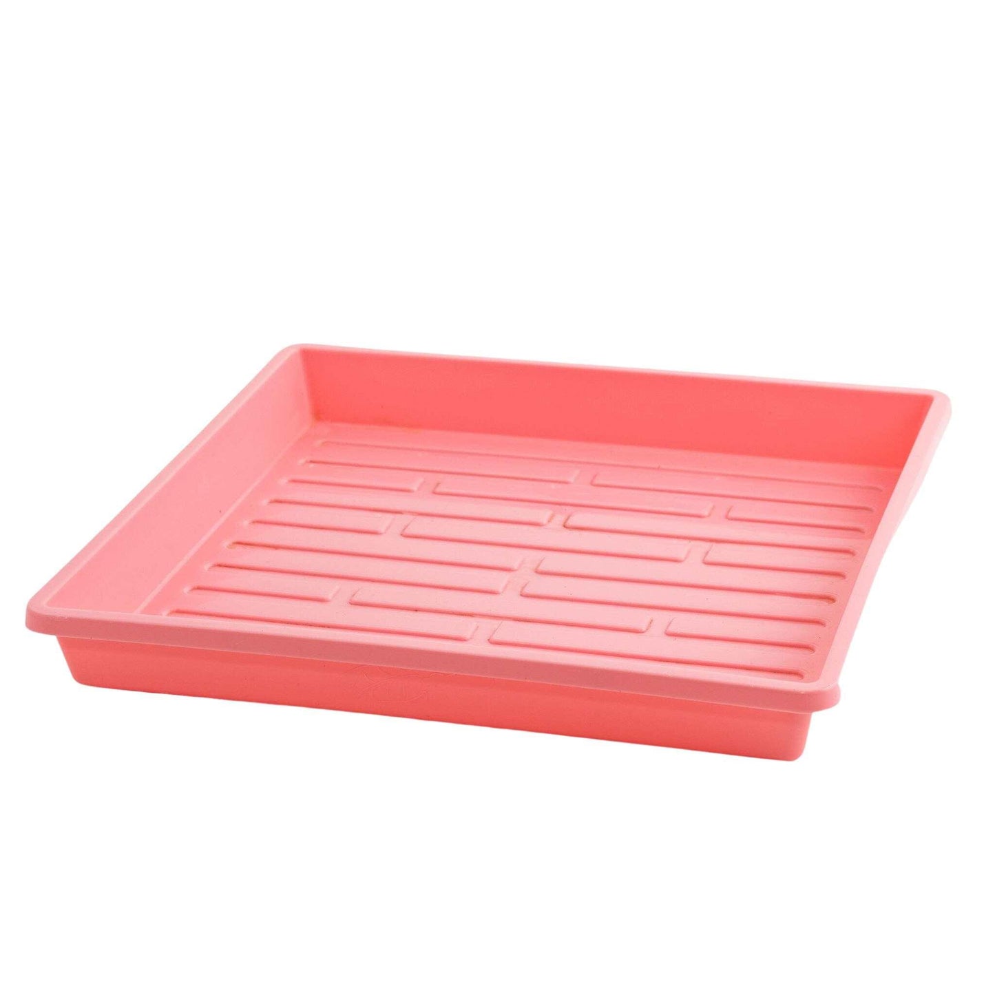 1010 Shallow Seed Trays 10 Trays / Pink / No Holes Bootstrap Farmer