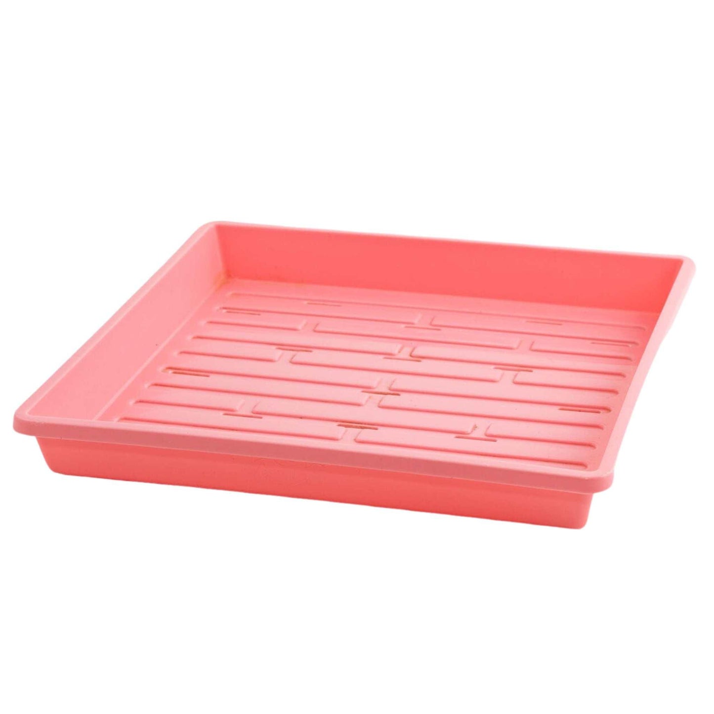 1010 Shallow Seed Trays 10 Trays / Pink / With Holes Bootstrap Farmer