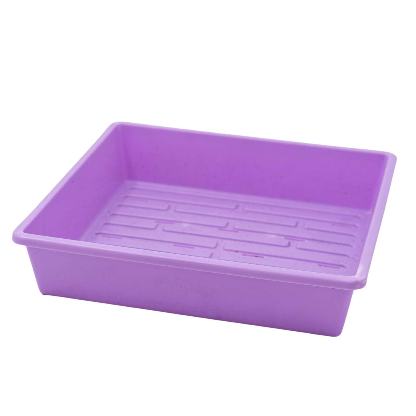 1010 Trays 2.5" Deep Trays Extra Strength 10 Trays / Purple / With Hole Bootstrap Farmer