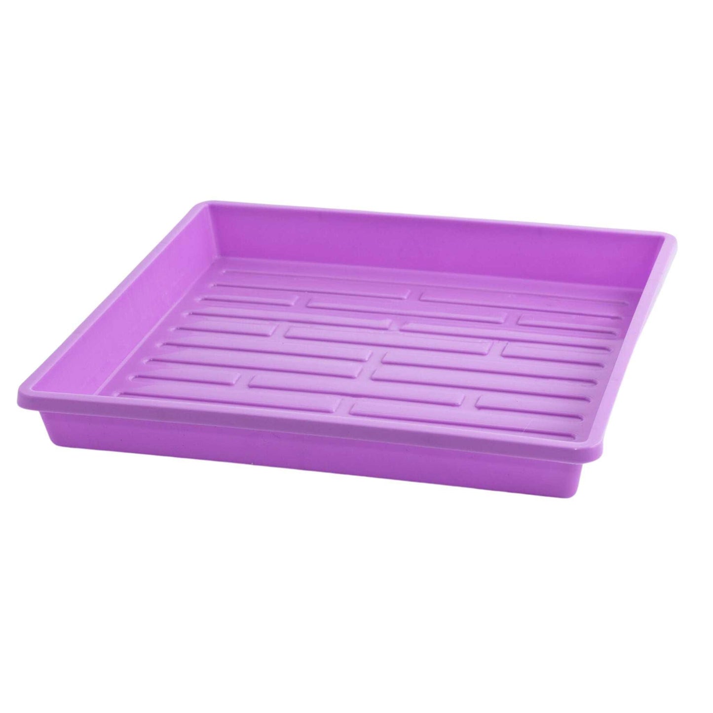 1010 Shallow Seed Trays 10 Trays / Purple / No Holes Bootstrap Farmer